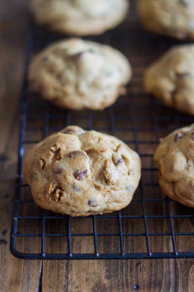 Marshmallow-Stuffed S'mores Cookies | Veggie and the Beast