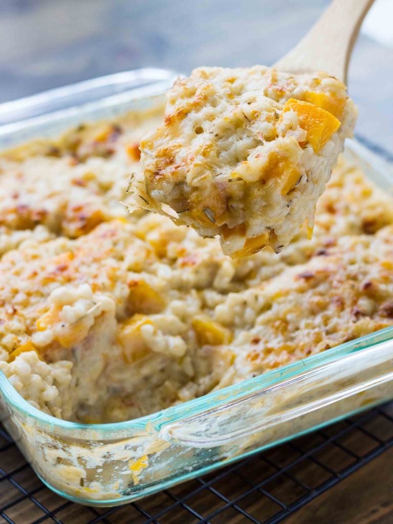 Butternut Squash Barley and Cheddar Gratin | Veggie and the Beast