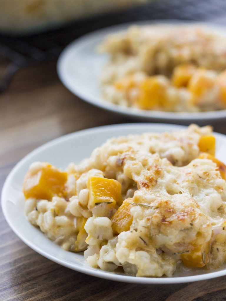 Butternut Squash Barley and Cheddar Gratin // veggieandthebeastfeast.com