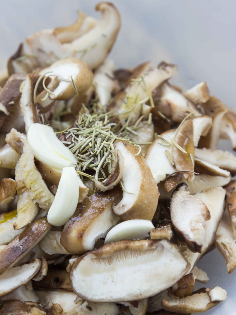 Roasted Mushroom and Caramelized Onion Quesadilla | Veggie and the Beast