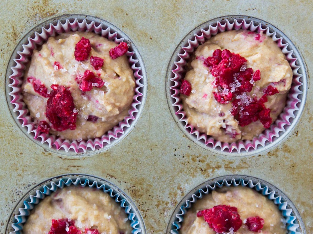 Raspberry Coconut Muffins | Veggie and the Beast #vegan #wholegrain