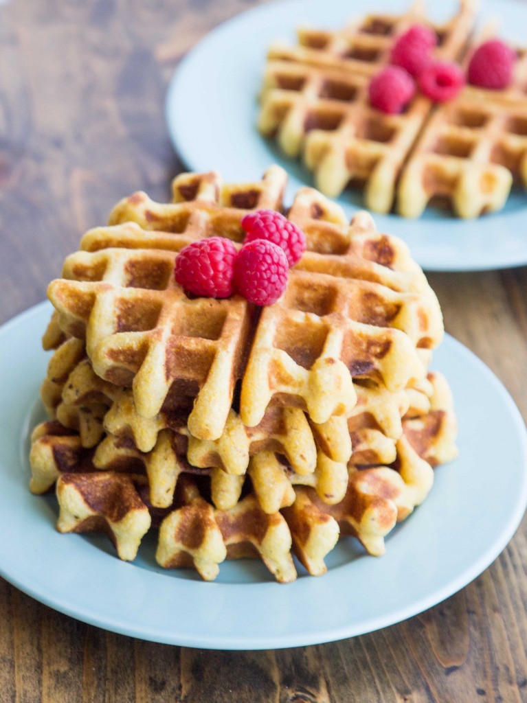 Crispy Whole Grain Honey Cornbread Waffles | veggieandthebeastfeast.com