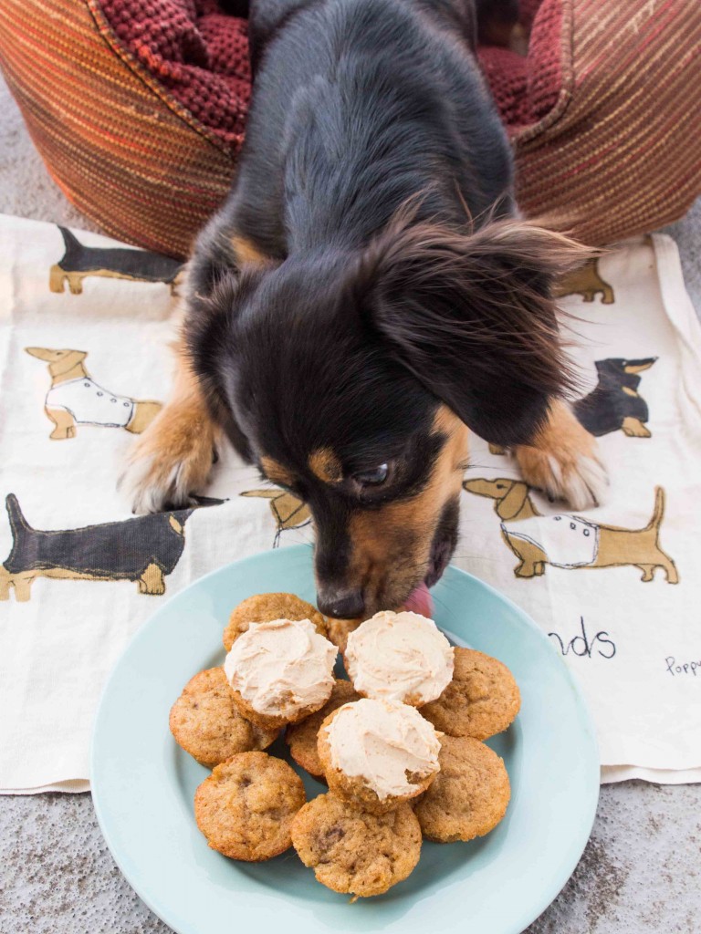 Mini Banana Pupcakes | veggieandthebeastfeast.com