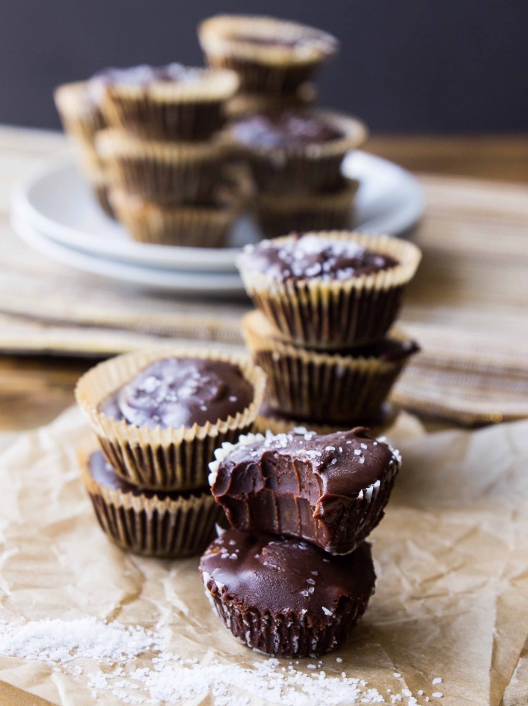 3-Ingredient Fudge Bites | veggieandthebeastfeast.com