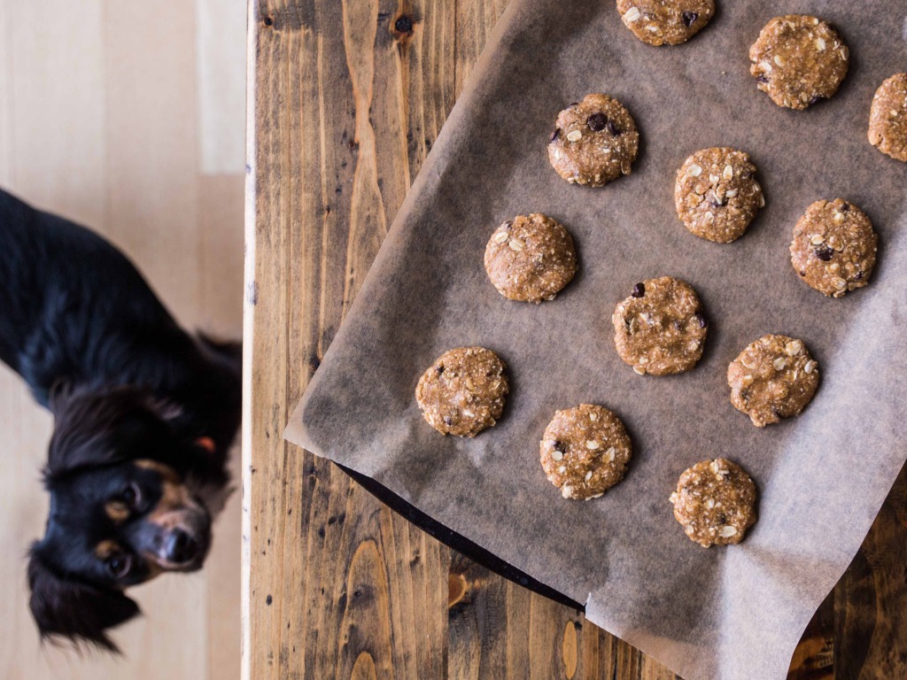 Thin and Crispy Almond Butter Oat Cookies // veggieandthebeastfeast.com #vegan #glutenfree